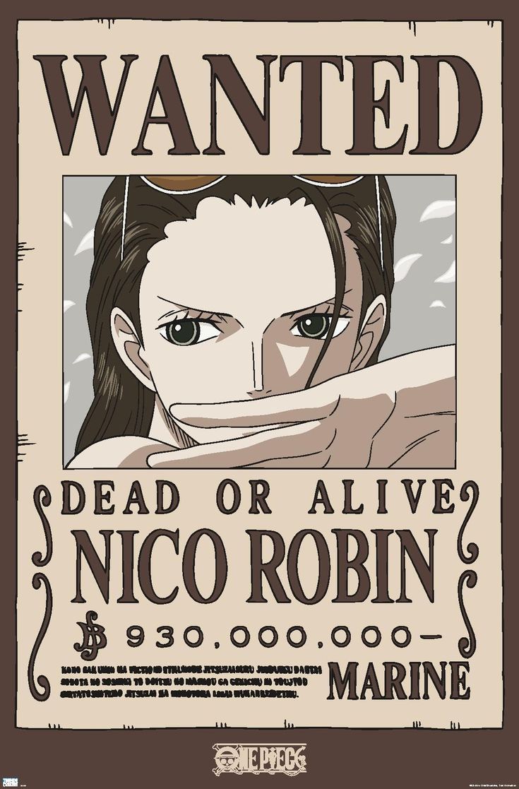 NICO ROBIN POSTER|ANIME POSTER|